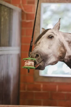 Sandwich Pferdesnack, 195g