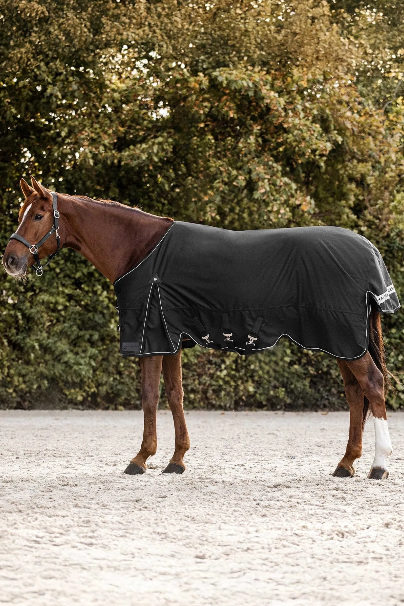 Scandic Weidedecke, 200 g