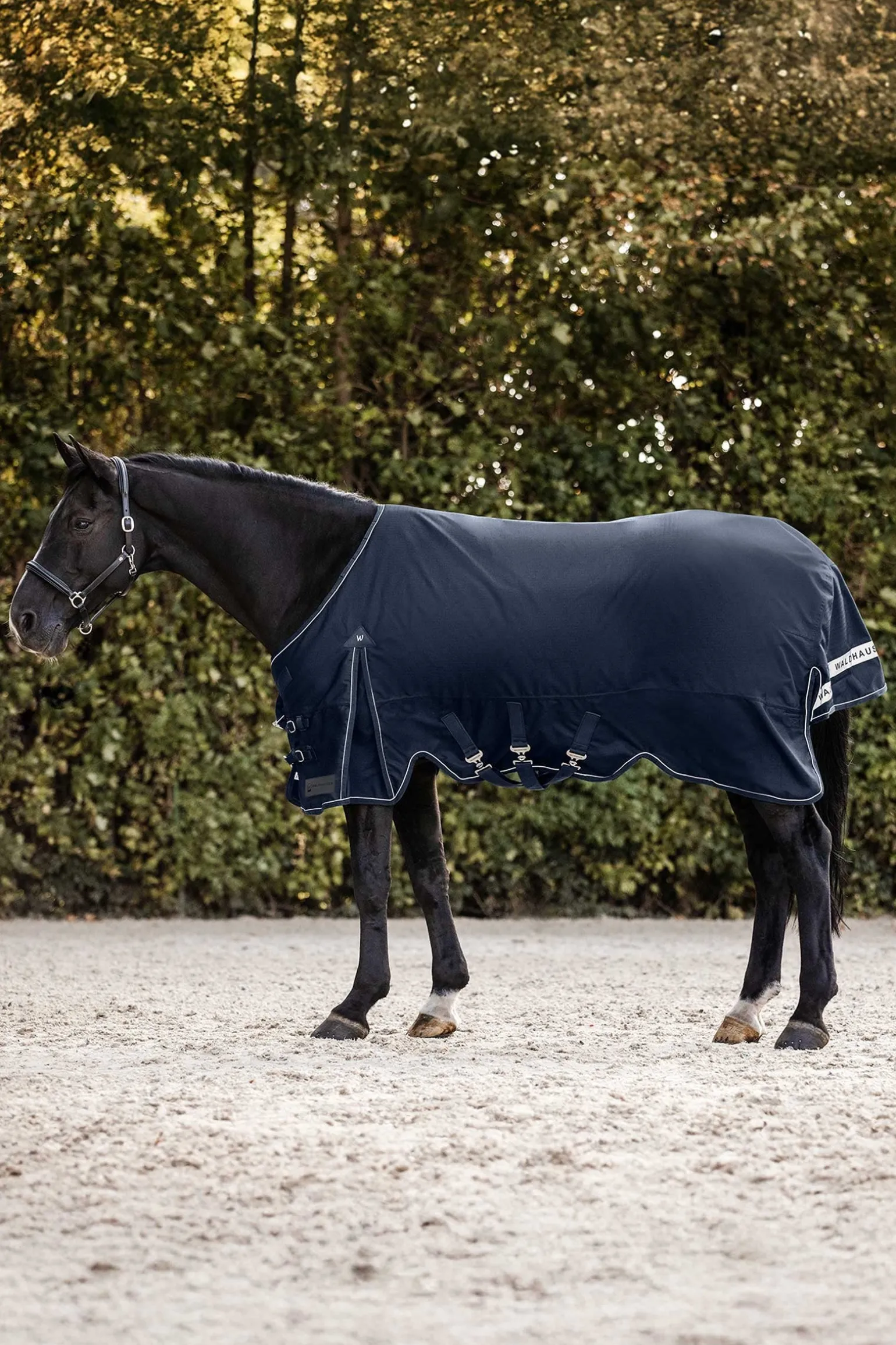 Scandic Weidedecke, 200 g