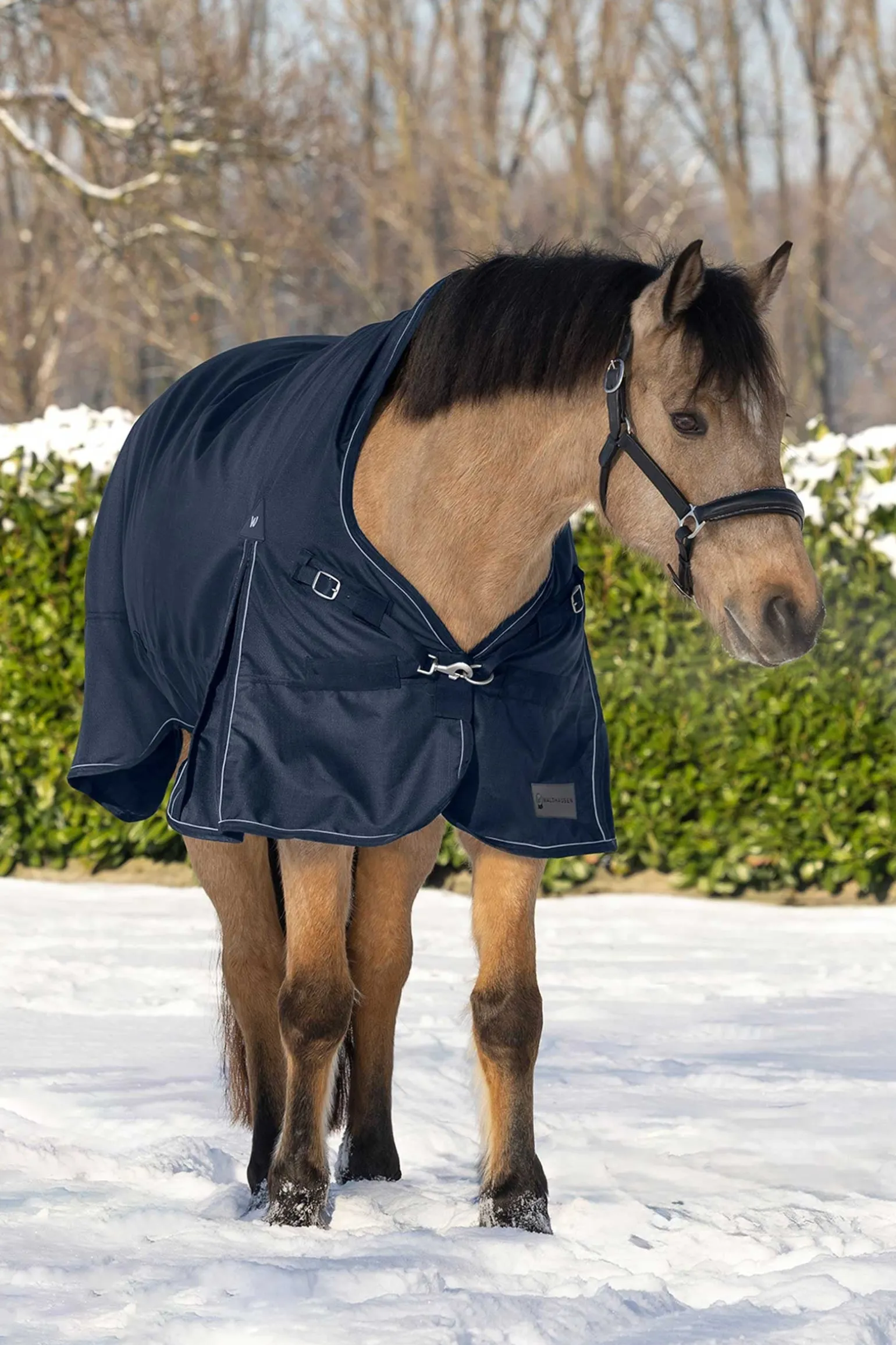 Scandic Weidedecke mit hohem Hals, 200 g