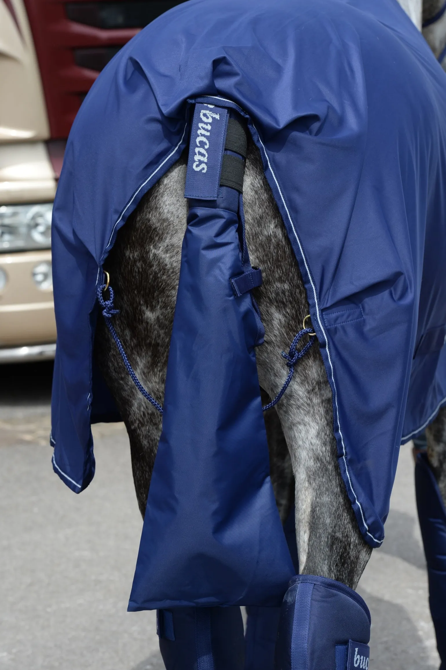 Schweifschutz & Schweiftasche