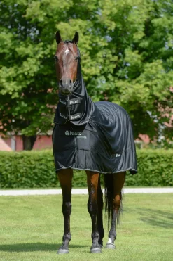 Shamrock Power Decke mit Halsteil