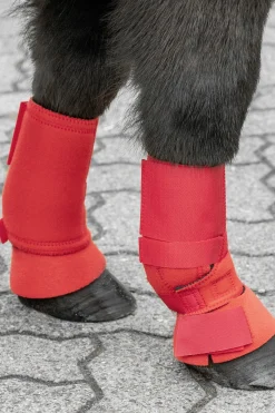 Shetty Fesselkopfgamaschen