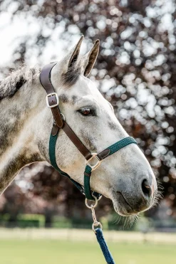 Signature geflochtenes Halfter