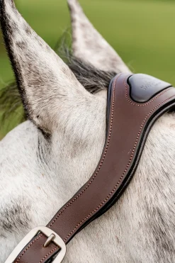 Signature geflochtenes Halfter