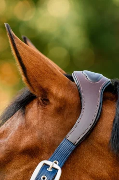 Signature Show Halfter