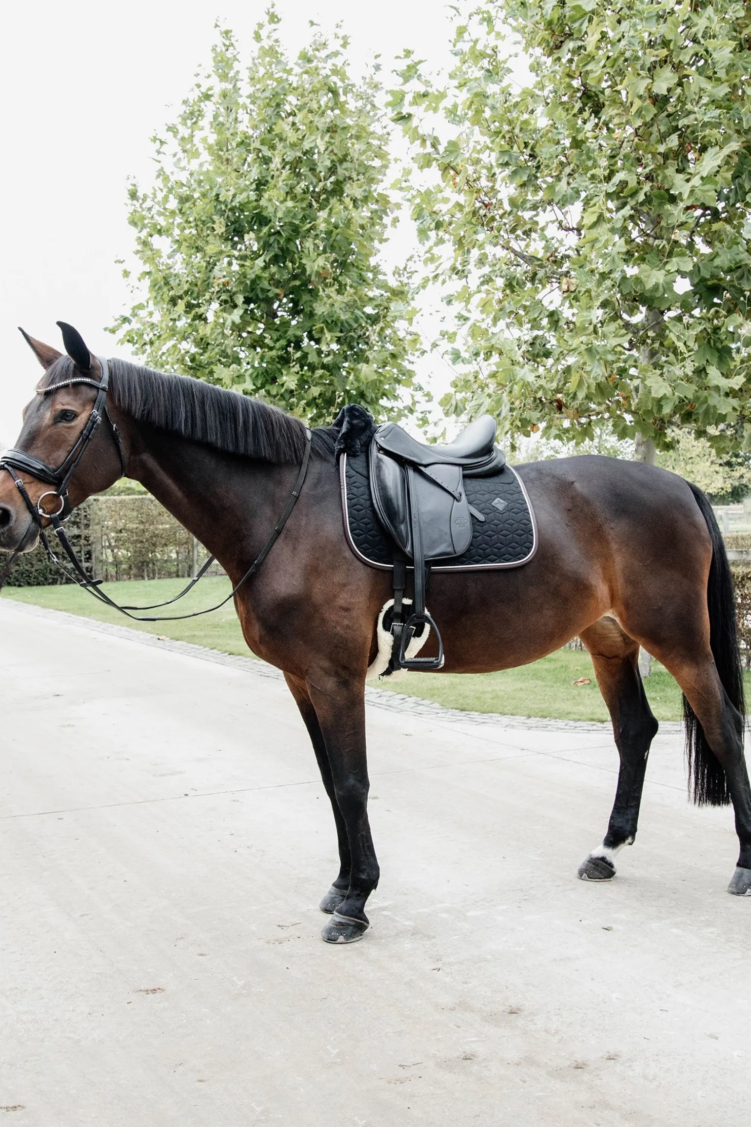 Skin Friendly Dressurschabracke