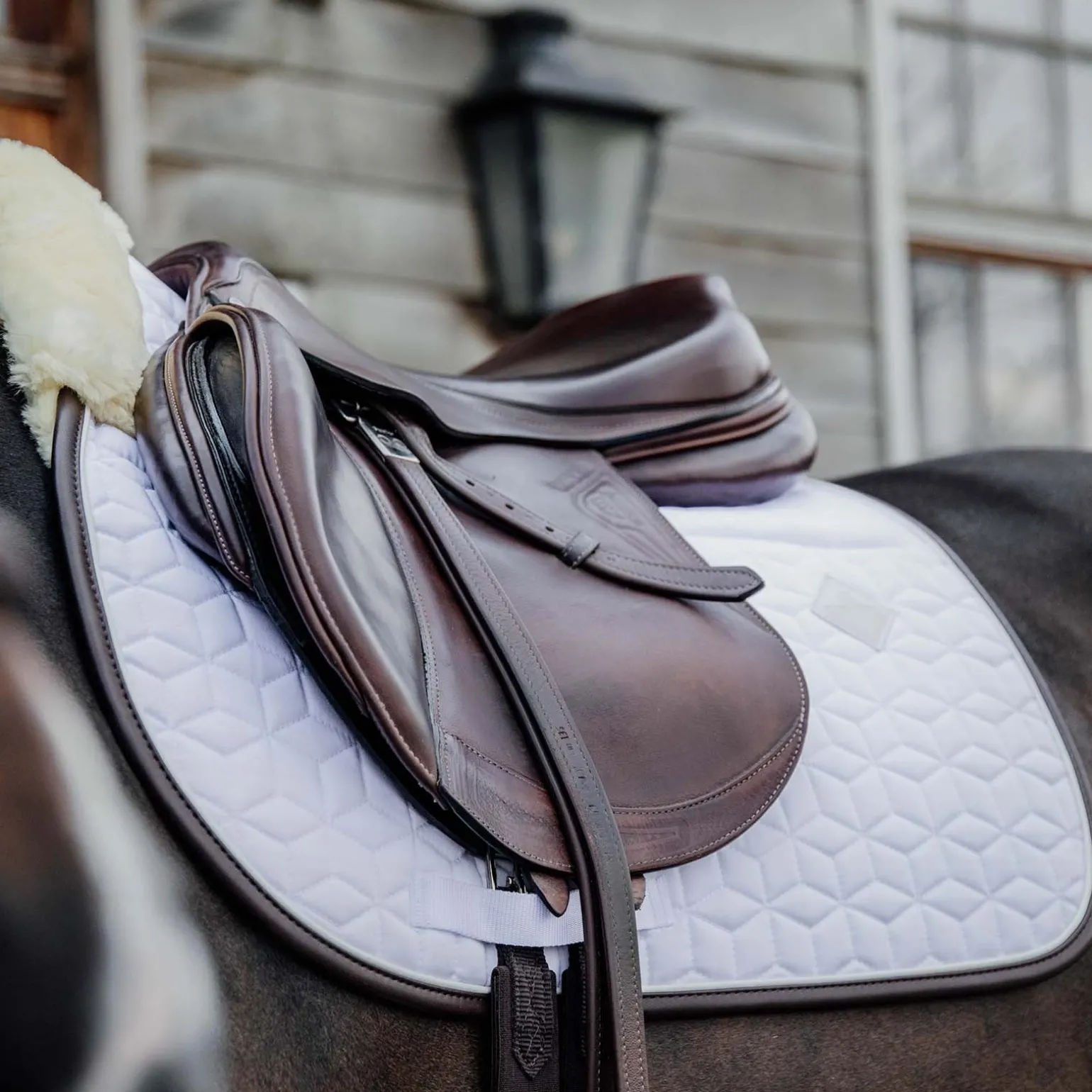 Skin Friendly Dressurschabracke