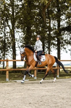 Smoky Twilight Springschabracke