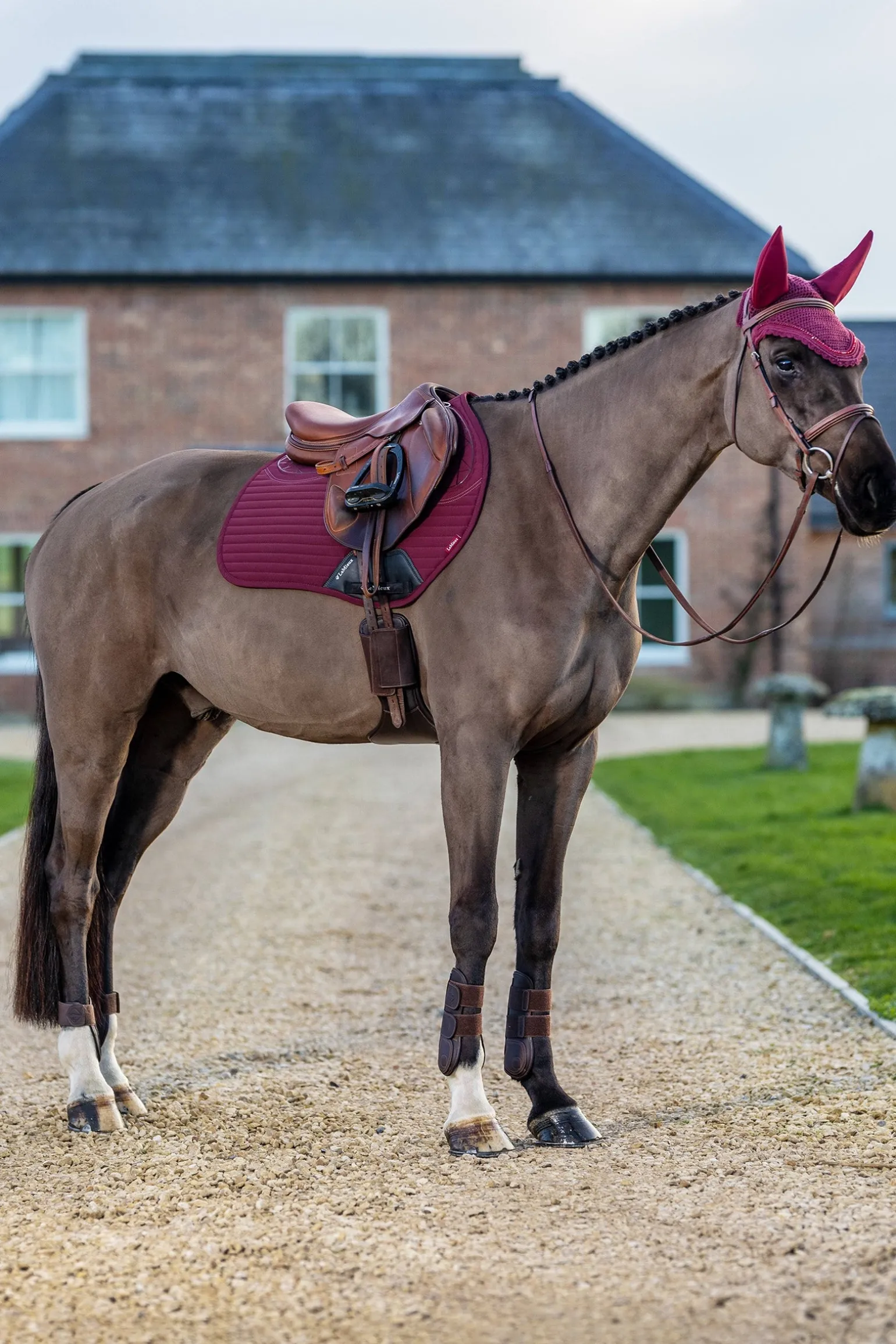 Soft Shell Anti-Rutsch Euro Spring Schabracke