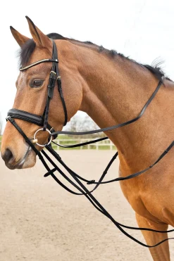 Sparta Schlaufzügel aus Leder