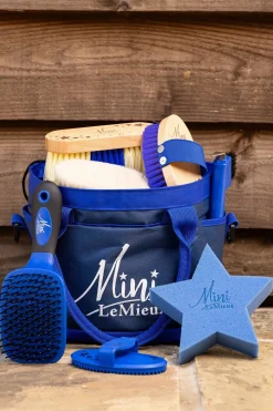 Spielzeug-Pony-Pflegeset