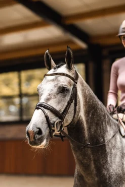 St. Moritz Stirnriemen