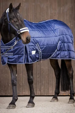 Stable rug Economic 200 g