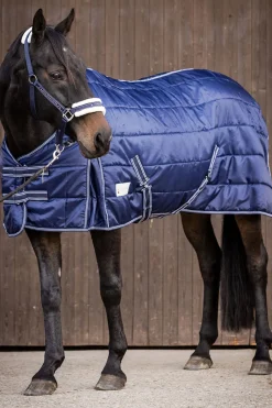 Stable Rug Economic 300 g