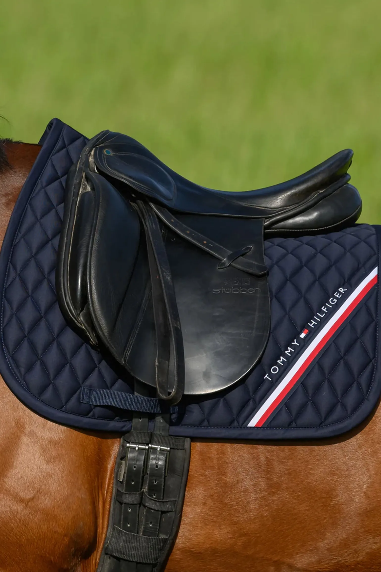 Stanford Dressurschabracke