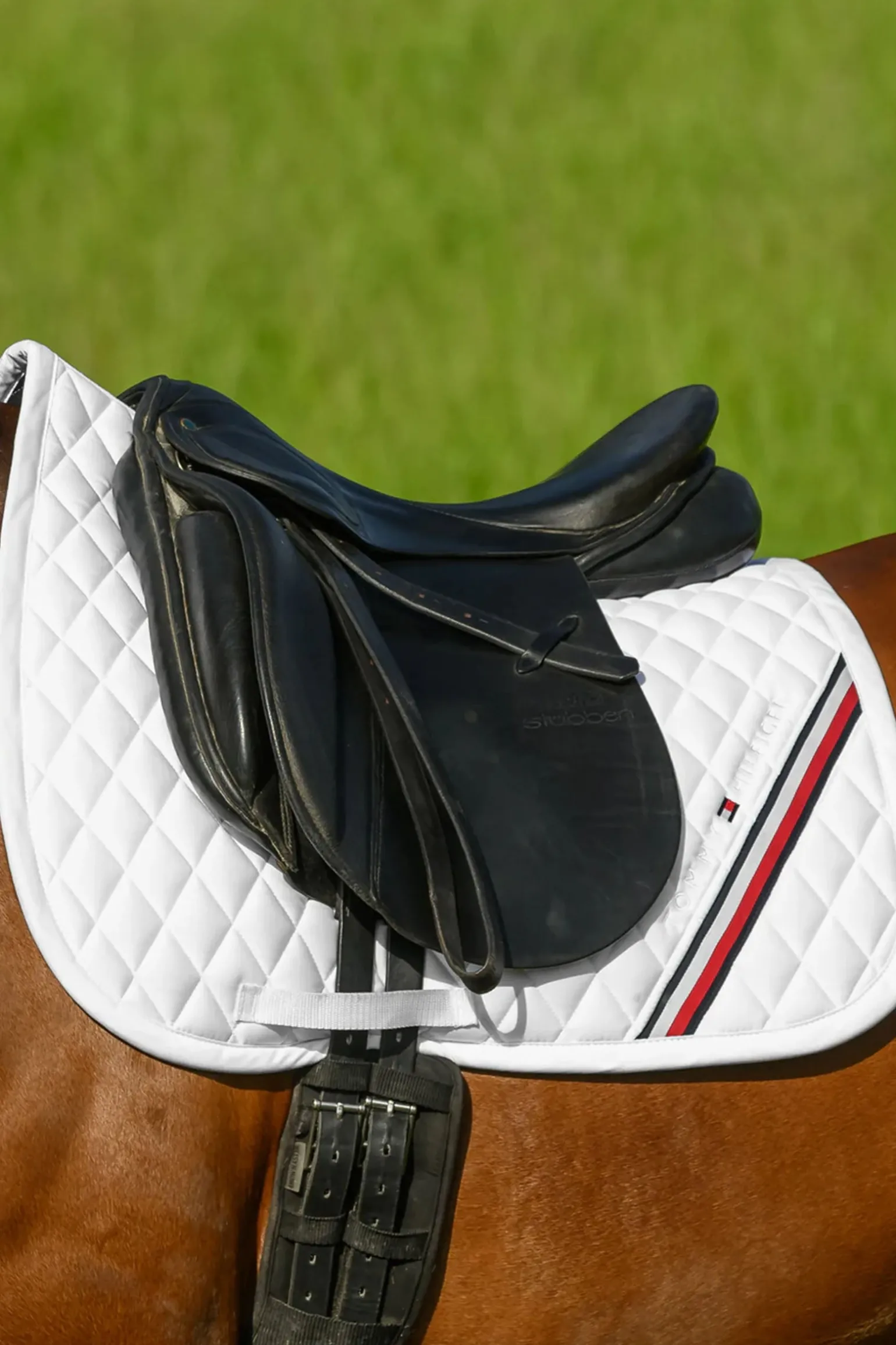 Stanford Dressurschabracke