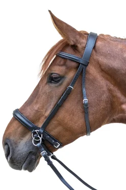 STAR Gebisslose Trense