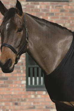 Stretch Schulterschutz