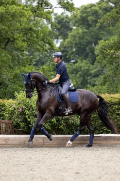 Suede Dressurschabracke