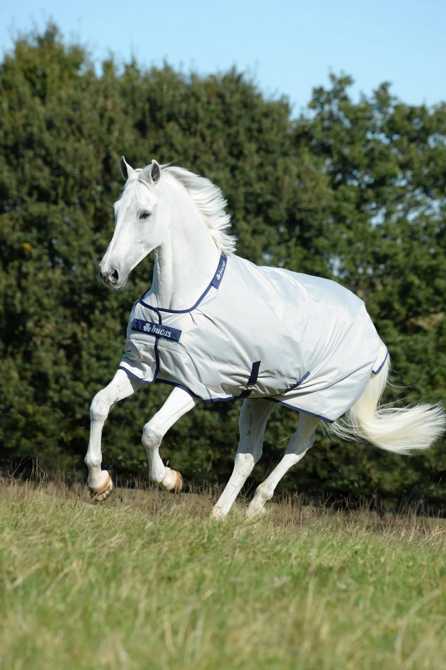 Sun Shower Regendecke, 0g