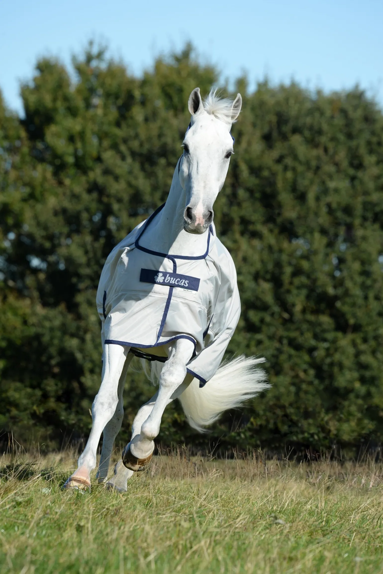 Sun Shower Regendecke, 0g