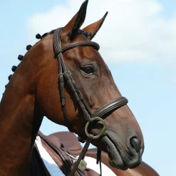 Syntovia+ Padded Raised Cavesson Bridle
