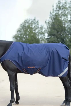 Therapy Führanlagendecke