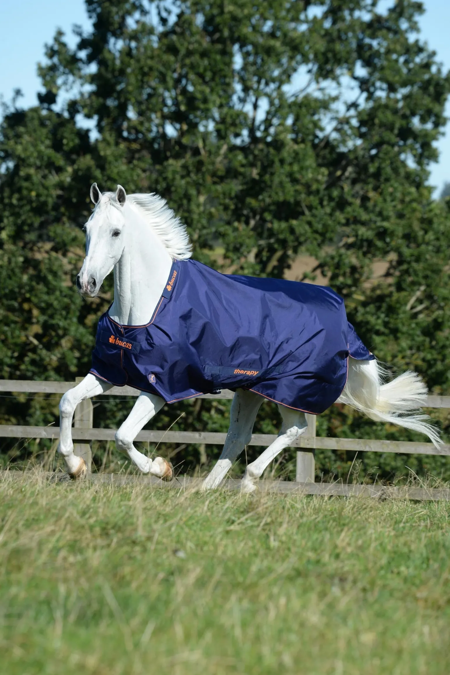 Therapy Weidedecke leicht, 50g