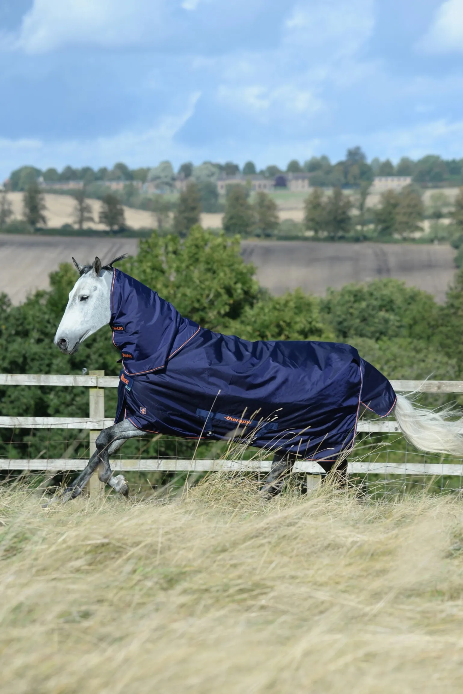 Therapy Weidedecke leicht, 50g