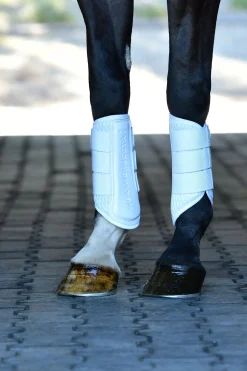 Tough-Tec Mesh Dressurgamaschen