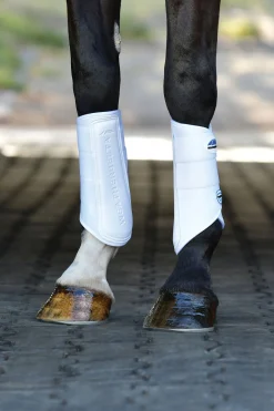 Tough-Tec Prime Dressurgamaschen