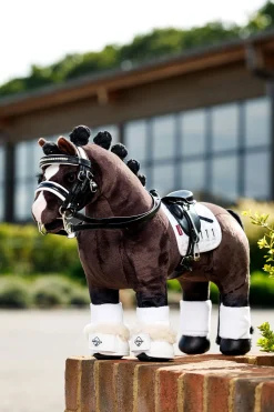 Toy Pony Kandarenzaum