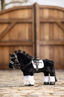 Toy Pony Kandarenzaum