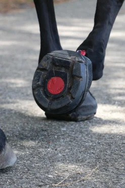 Trek Hufschuhe (schmal/Paar)