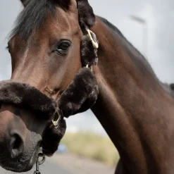 Tremblant Halfter mit Lammfell