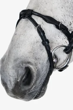 Trense, Mary Lou von Henrik von Eckermann