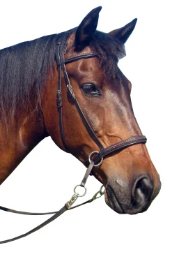 Ulan Bitless Bridle (System 5) Leather w/ Leather Reins