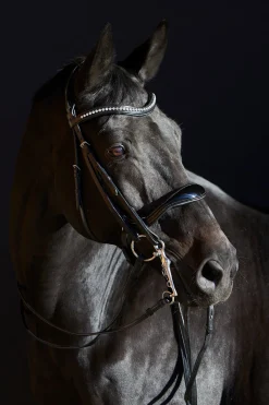 Ultrasoft® Amy Kandarenzaum