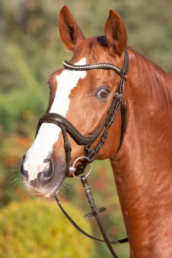 Ultrasoft® Amy Trensenzaum