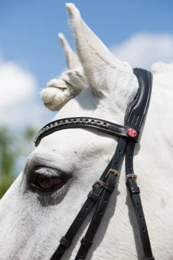 Ultrasoft® Fashion Trensenzaum