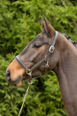 Ultrasoft® Leder-Stallhalfter