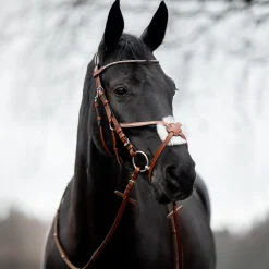 Valencia Mexikanisches Reithalfter