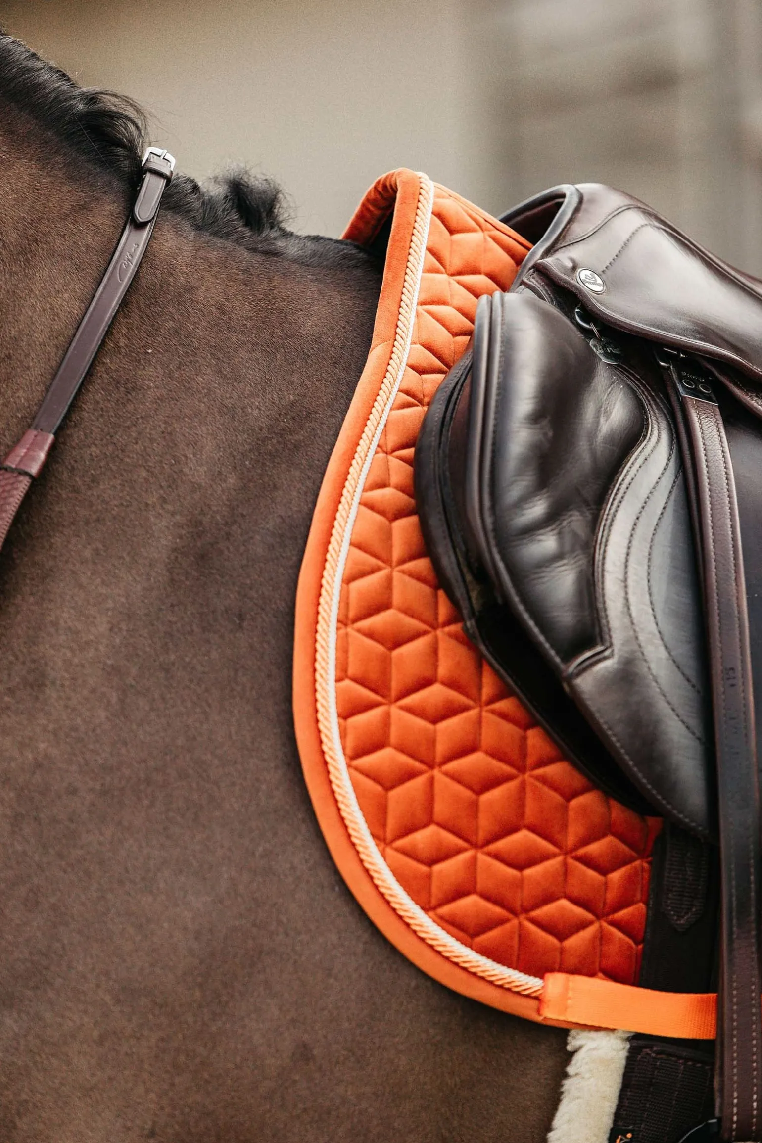 Velvet Springschabracke