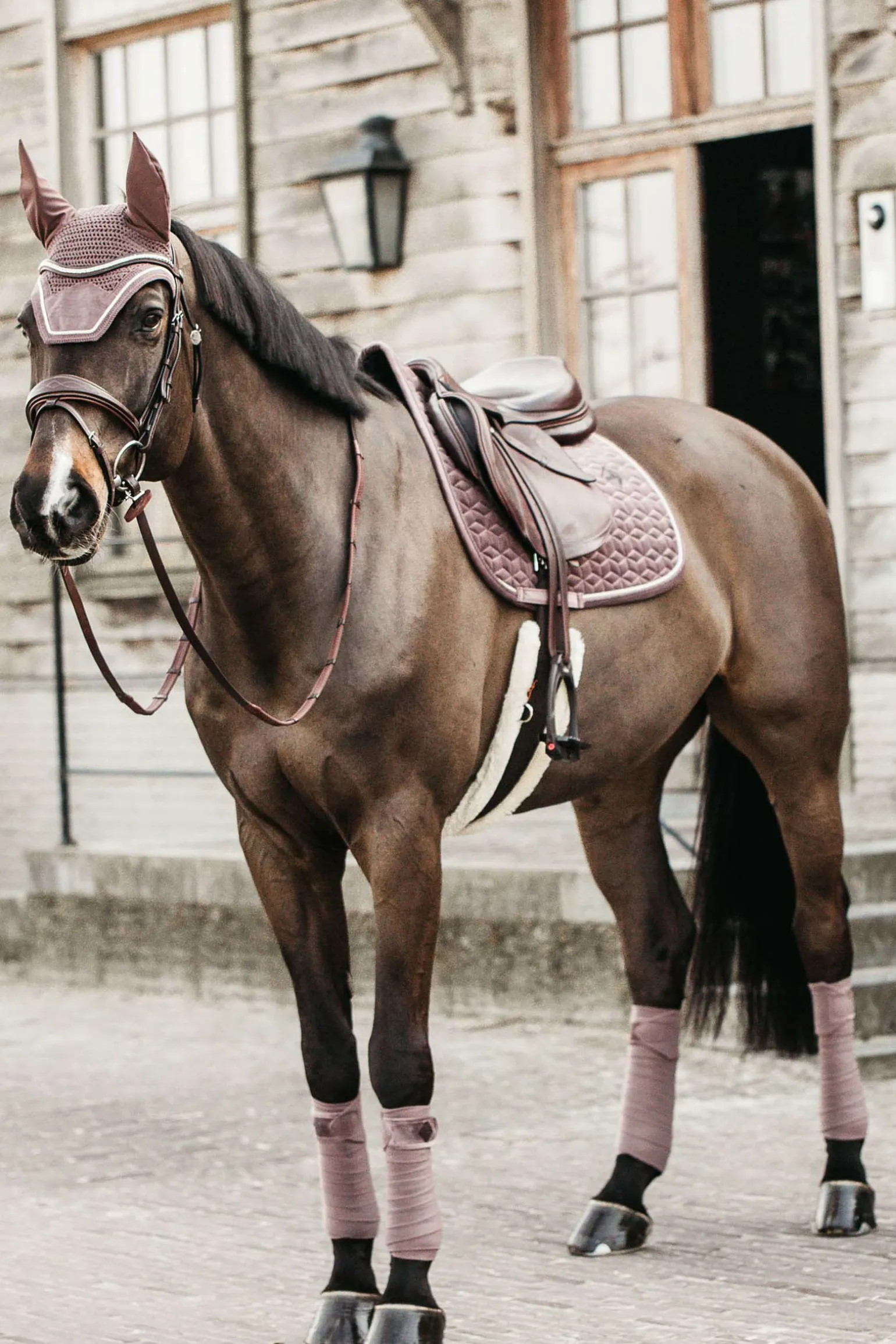 Velvet Springschabracke