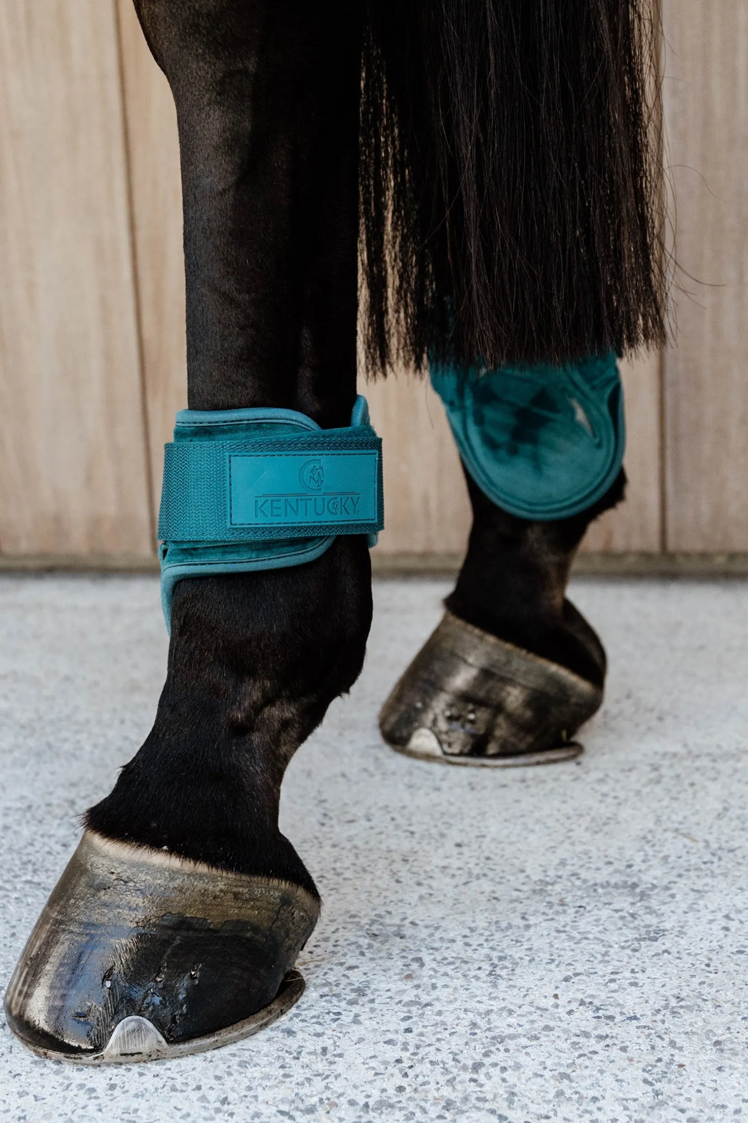 Velvet Streichkappen für Jungferde