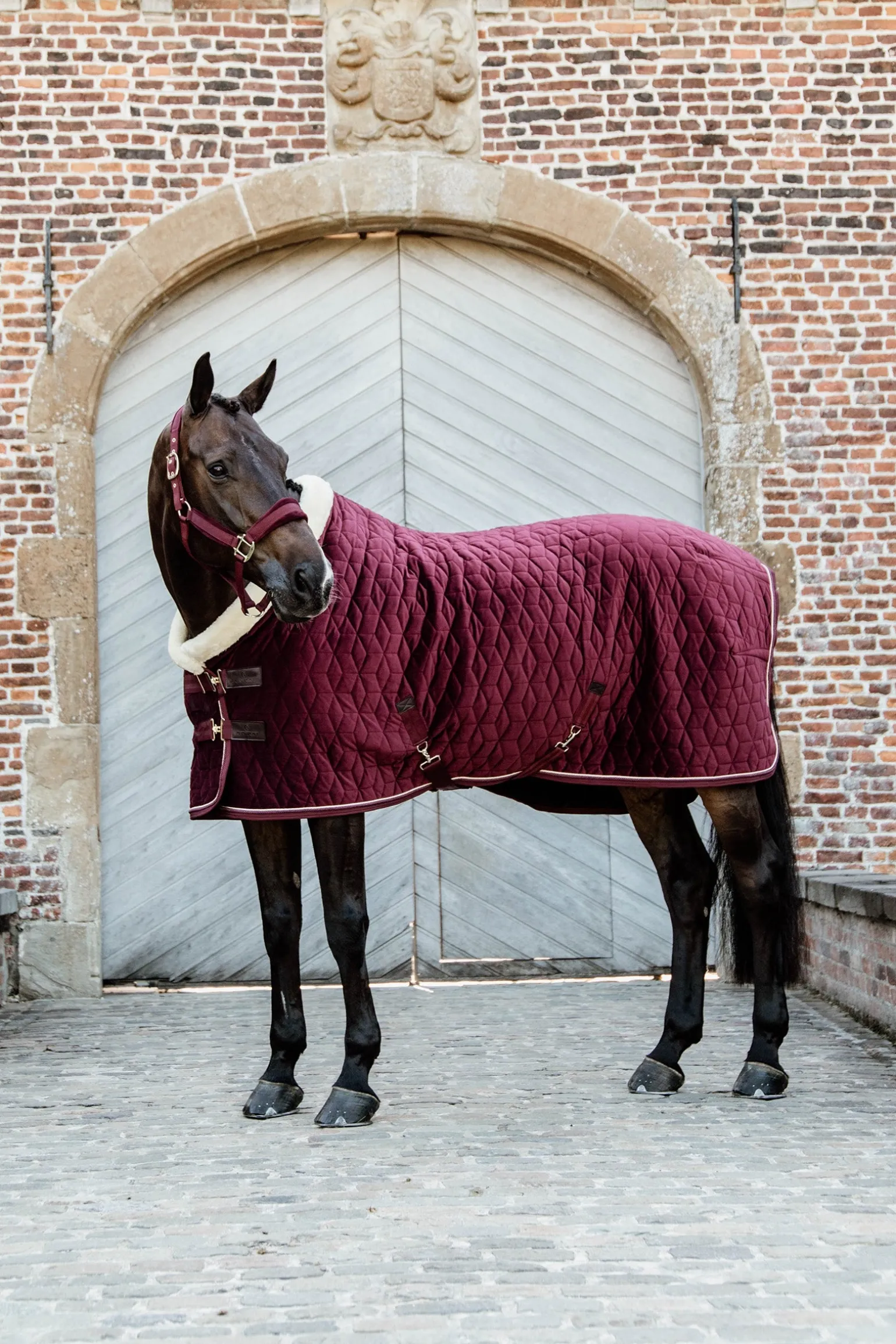 Velvet Turnierdecke, 160g