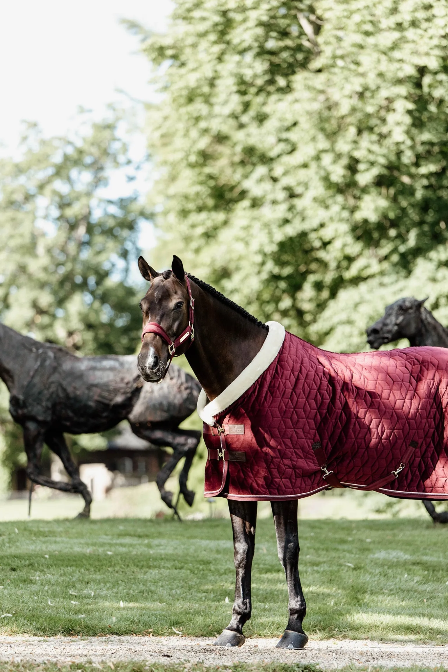 Velvet Turnierdecke, 160g