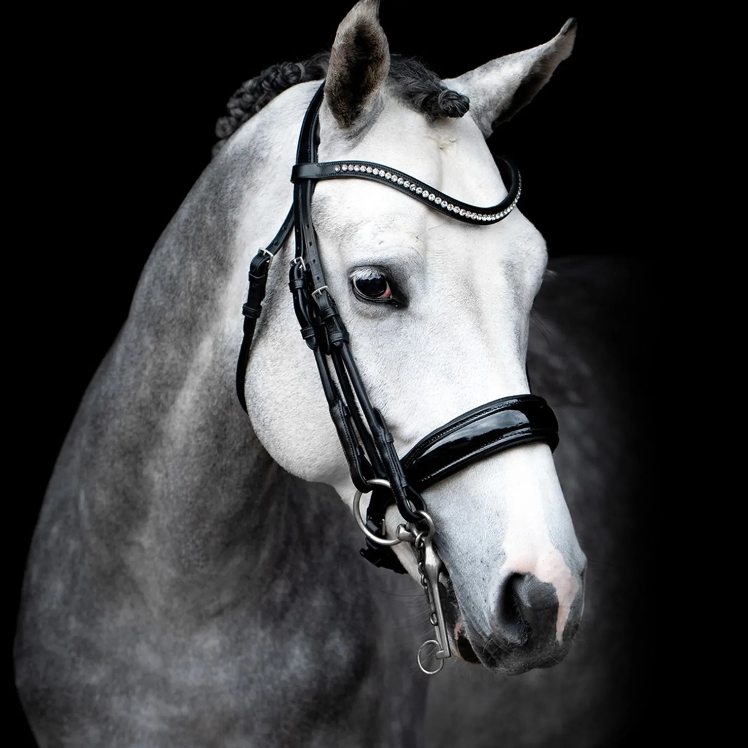 Venice Double Bridle
