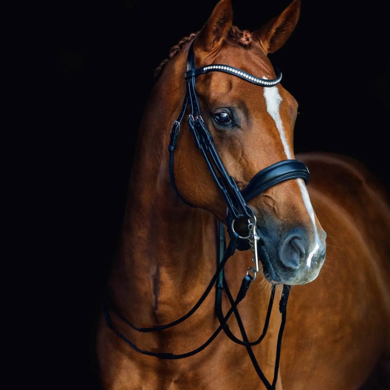 Venice Double Bridle